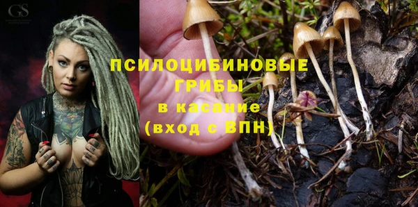 ALPHA PVP Михайловск