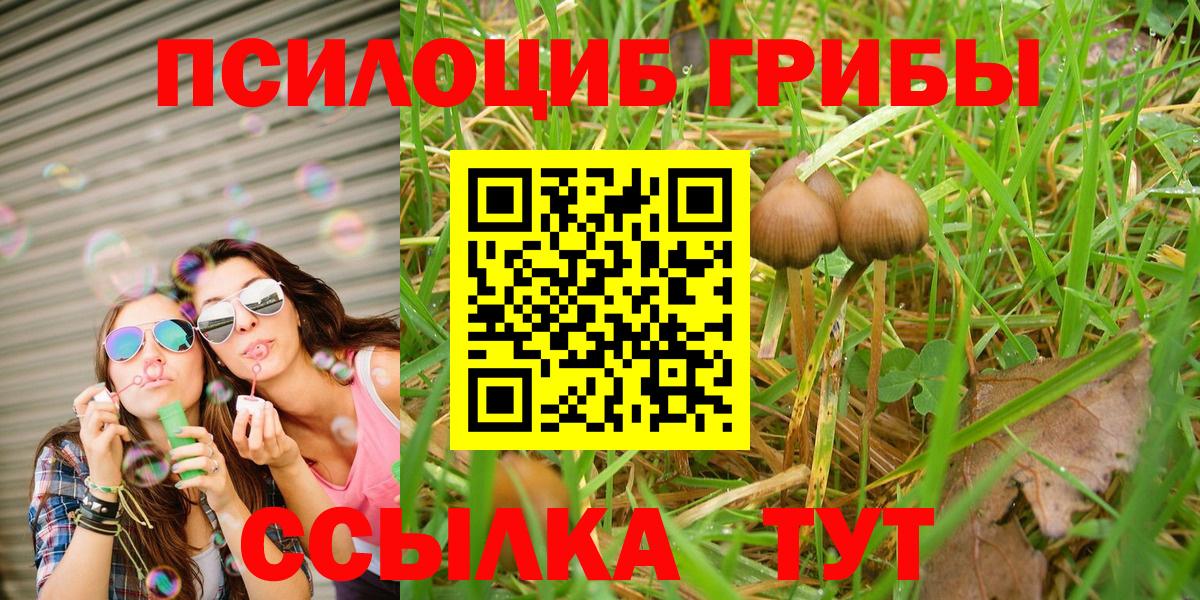 Псилоцибиновые грибы MAGIC MUSHROOMS  Псилоцибиновые грибы прущие грибы  Югорск  где можно купить наркотик  Вход с VPN 